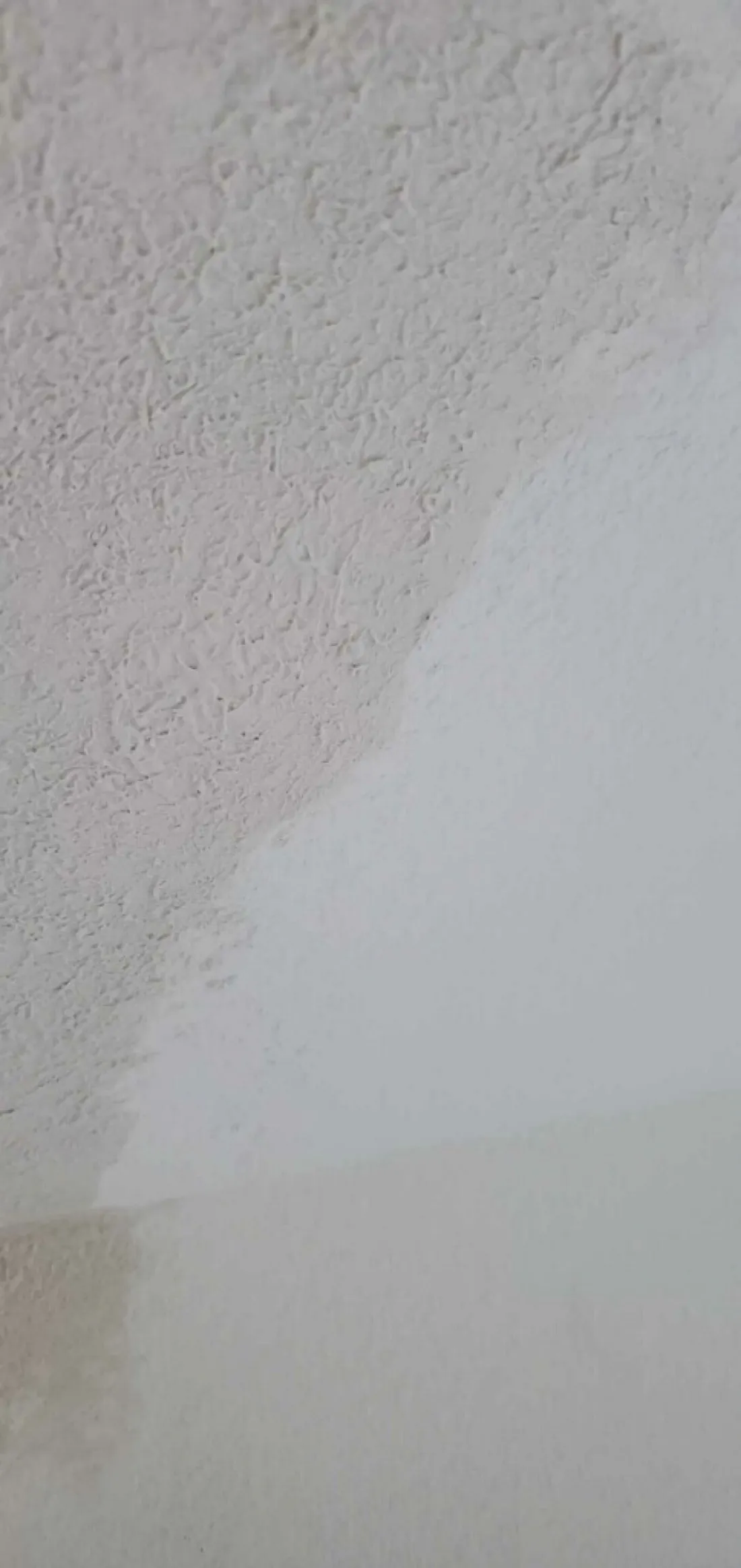 Half-bath toilet installed with new flooring and fresh paint throughout. — Zomg The Handyman