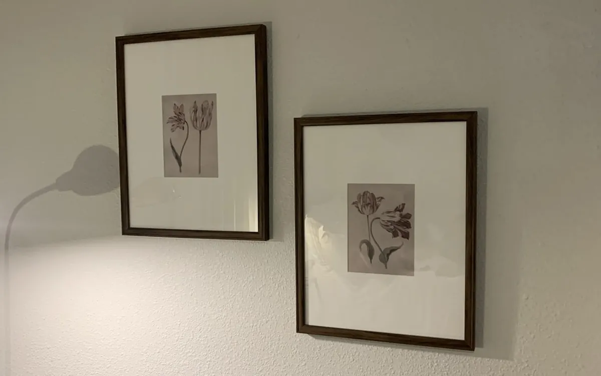 Frames hung by Zomg