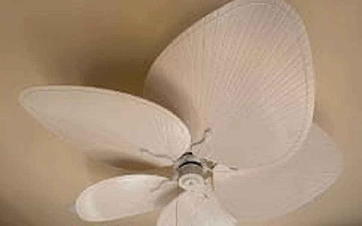 Palm leaf ceiling fan installed by Zomg