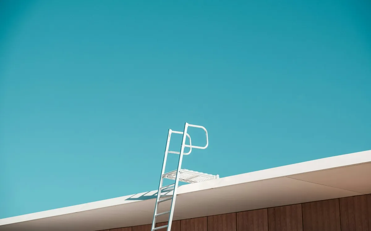 Ladder on a roof