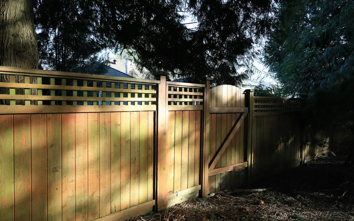 Wooden fence with a gate on a sunny day