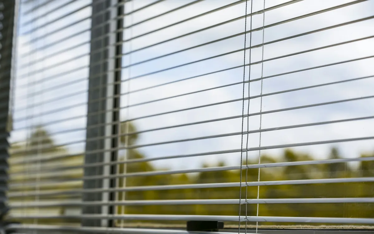 White blinds on a window