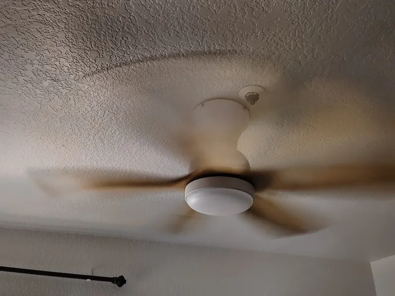 Ceiling fan installed in a bedroom by Zomg The Handyman